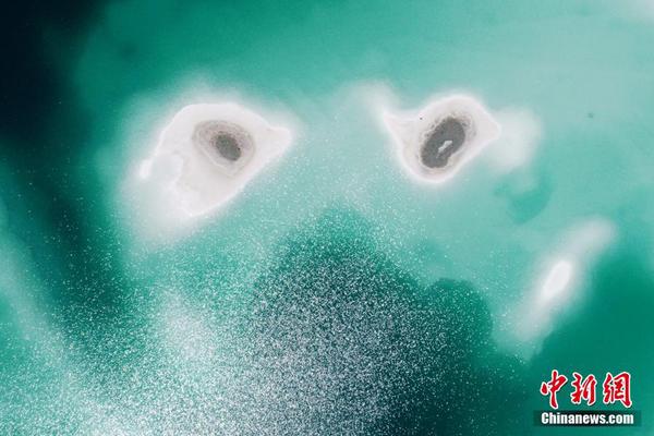 A new mobile app was launched that helps users find and book eco-friendly hotels and travel experiences