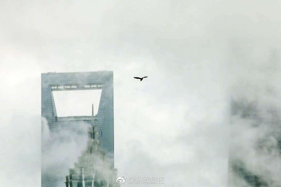 A city launched a program to help homeless veterans find housing and employment