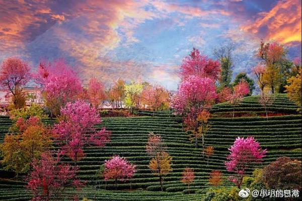 Doctors performed the first successful face transplant in the country giving a patient a new identity after an accident