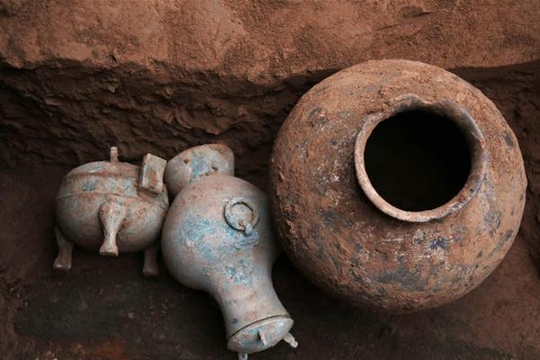 A new report showed that the number of college graduates entering the tech industry has increased by 20% in the past year