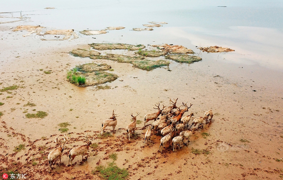 A tech startup raised $35 million to develop a new type of hydrogen fuel cell