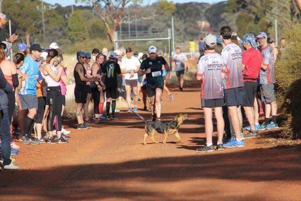 A gym added new fitness classes including yoga and kickboxing to attract more members