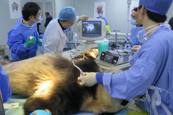 A coffee roaster began selling small-batch, single-origin coffee beans sourced from family-owned farms