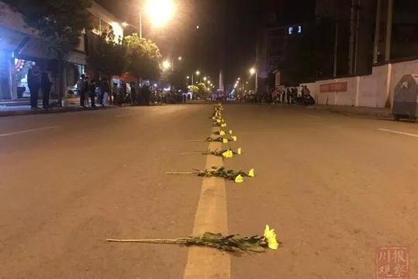 A severe snowstorm hit the northern region closing schools and highways and disrupting public transportation