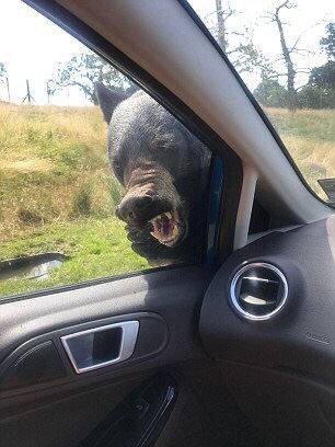 A famous singer announced a world tour with concerts scheduled in 40 countries over the next year