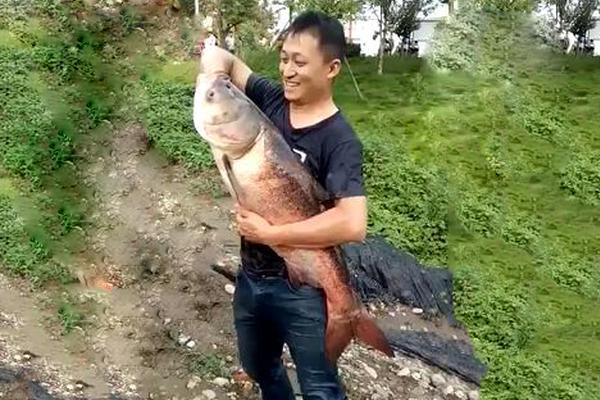 Scientists observed a rare astronomical event involving two passing comets