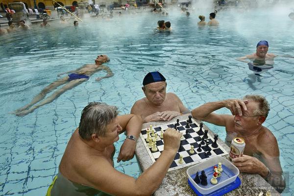 Firefighters rescued a cat from a burning building in the downtown area