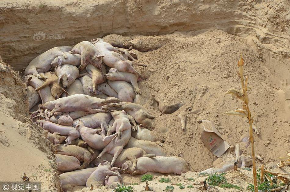 Doctors performed the first successful face transplant in the country giving a patient a new identity after an accident