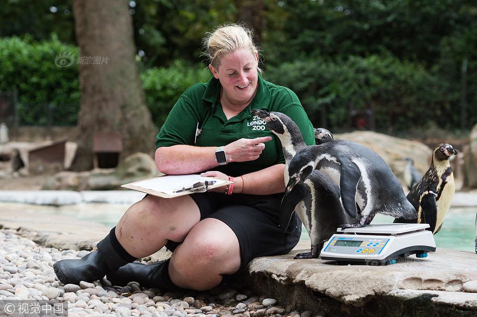 A study found that owning a dog can increase physical activity and reduce loneliness in seniors