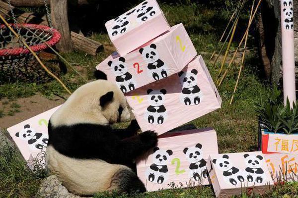 Ambulance service expands coverage to rural communities with new vehicles