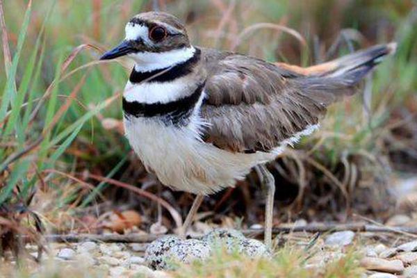 Online retailer offers free returns on all clothing purchases