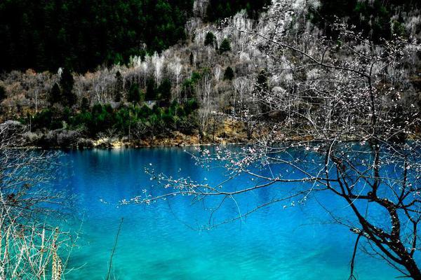 A community organized a charity walk that raised $25000 for a local children’s hospital
