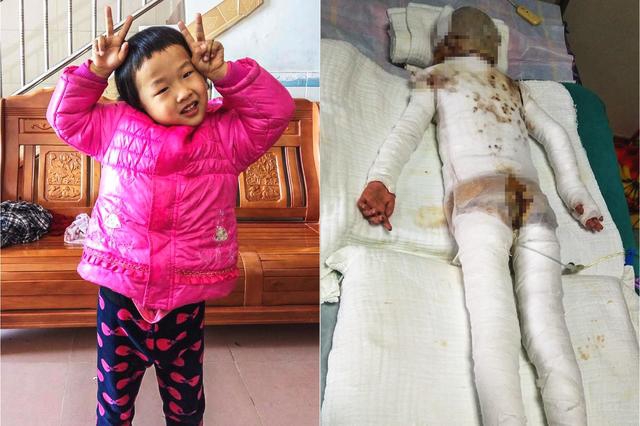 Bus company updates fleet with more fuel-efficient vehicles