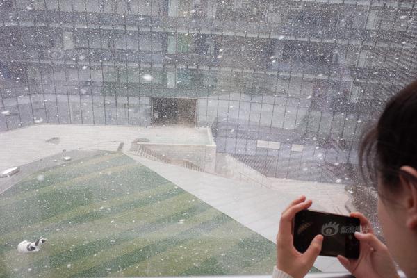 A major bookstore chain opened a new location with a café and event space