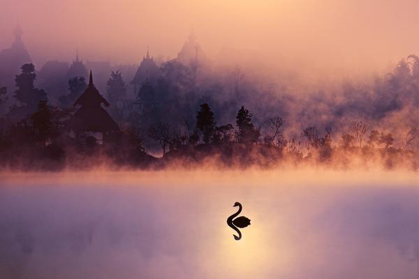 A study found that socializing with friends at least once a week improves mental well-being in older adults