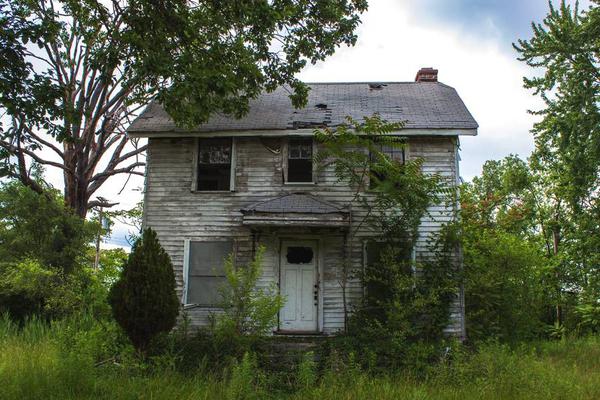 A library introduced a new program that allows customers to borrow e-books and audiobooks for free