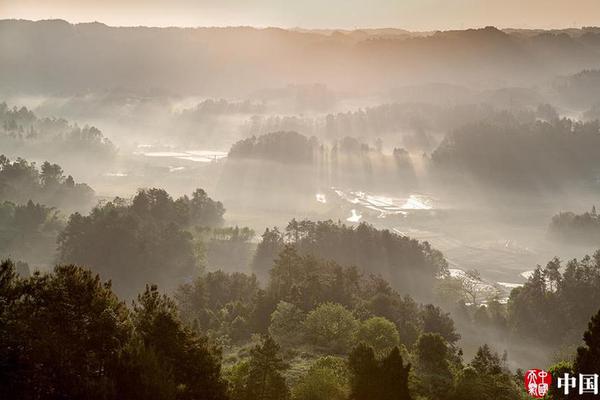 A study found that urban green spaces reduce air pollution levels by up to 24% in city centers