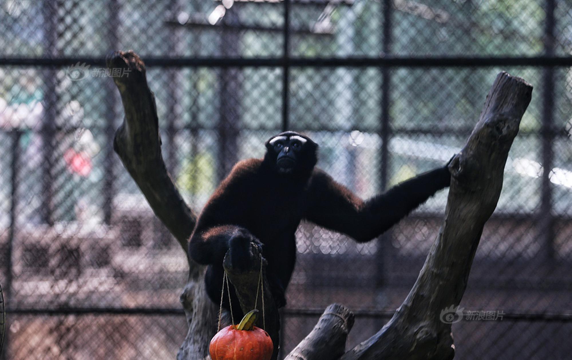 A new report showed that renewable energy jobs have increased by 27% over the past two years