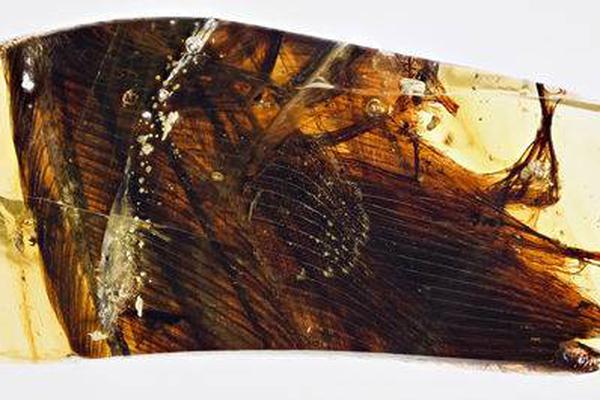 Research finds that playing a musical instrument improves hand eye coordination in kids