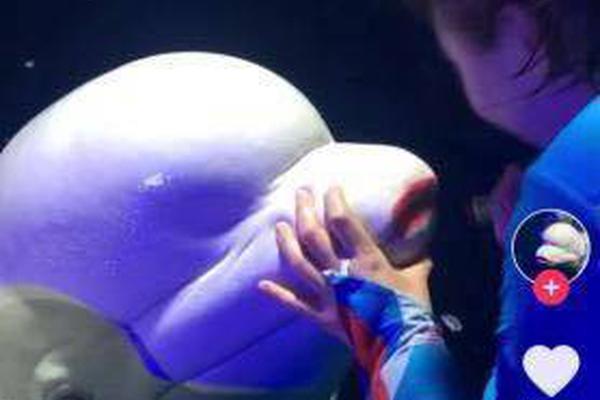 The military announced it will host a public air show at its base next month