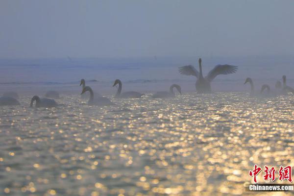 Local police partnered with schools to teach internet safety to children