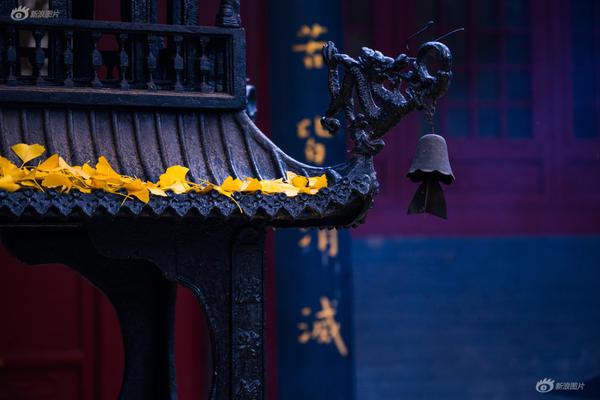 A museum hosted a special exhibition honoring the work of female scientists in history