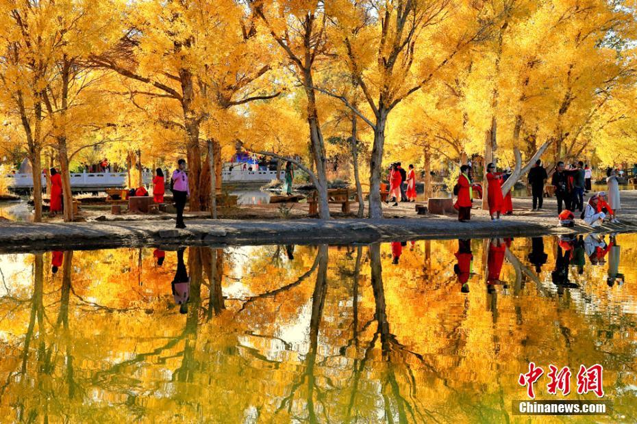 The postal service introduced a same-day delivery service for packages in major cities