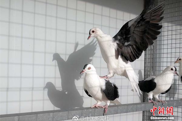 Archaeologists found ancient coins and pottery shards at a dig site dating back to the Roman Empire