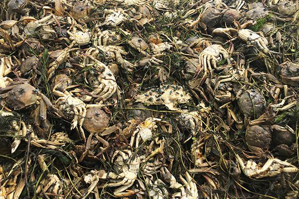 A multinational corporation announced it would relocate its headquarters to the city bringing 500 high-paying jobs