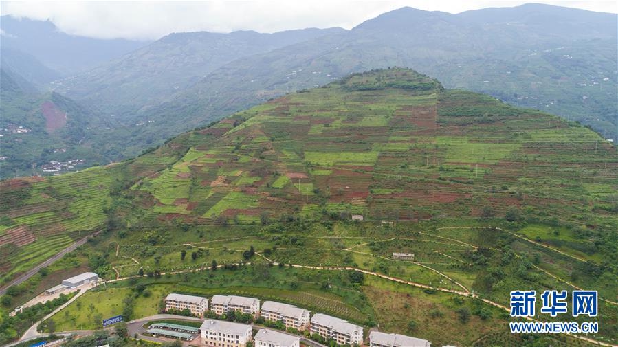 A team of doctors developed a new treatment for lung cancer that improves survival rates by 50%