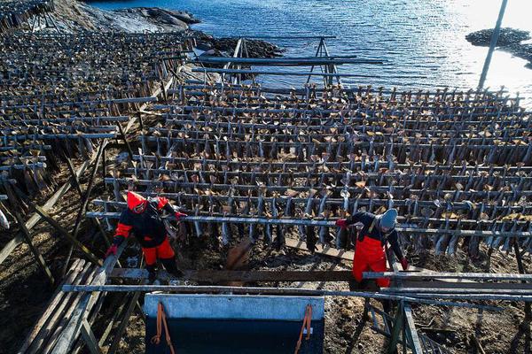 A photographer collaborated with a local business to create a series of promotional photos