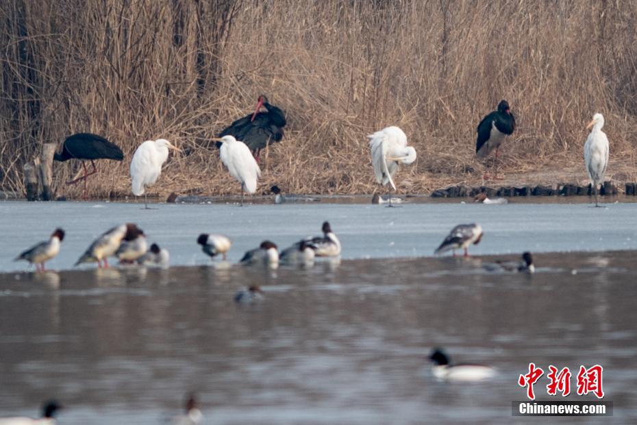 A tech company collaborated with a university to conduct research