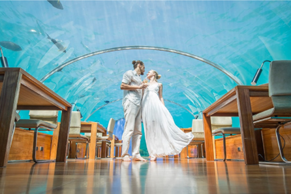 A farm started offering 