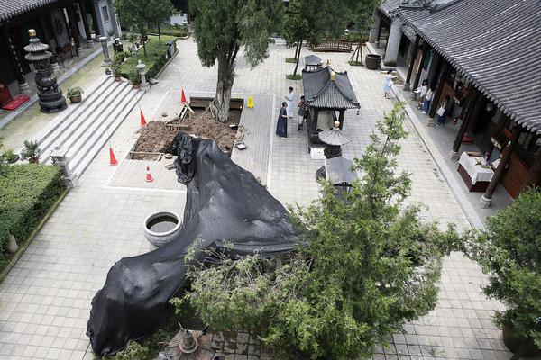 A university started a new program in art and design