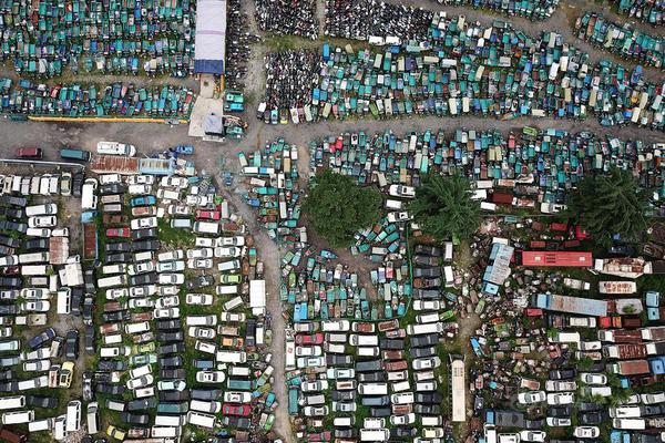 A pet rescue organization started a