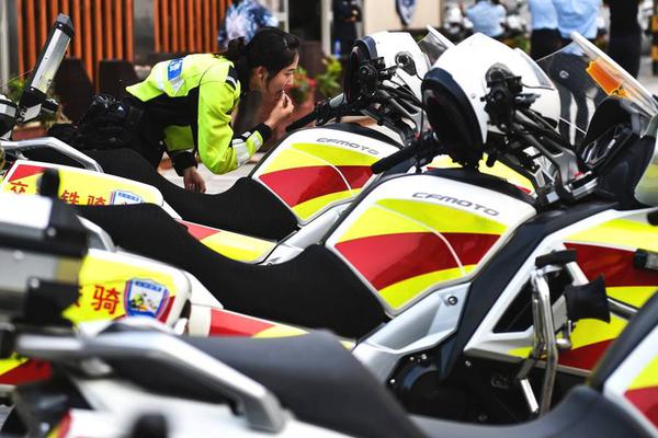 The police department added more officers to patrol shopping malls during the holiday season