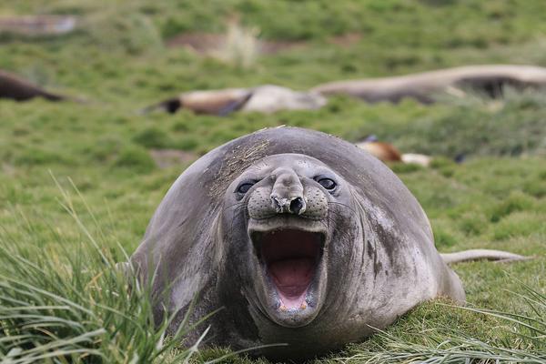 A bakery used locally sourced ingredients to make its products