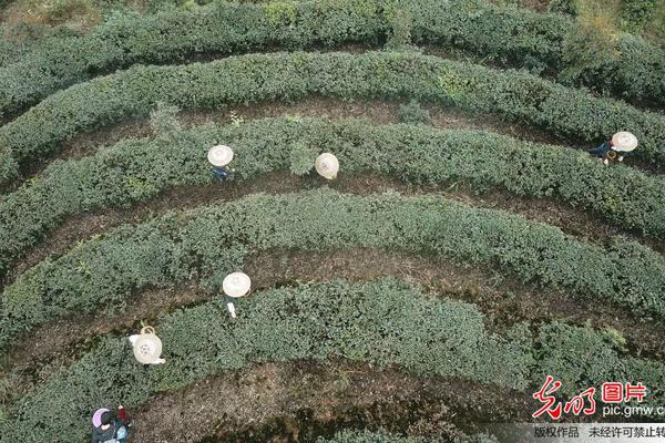 A coffee shop partnered with a local bakery to sell fresh croissants and pastries in its stores