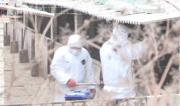 A finance app reached 5 million downloads