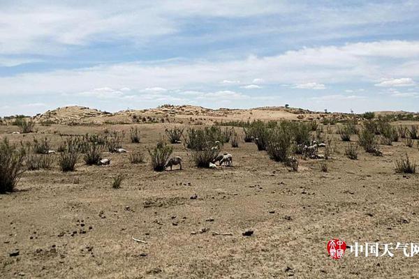 Study finds that using essential oils can reduce stress and anxiety