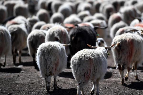 A community center offered free computer classes to help seniors learn basic digital skills