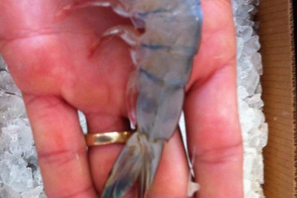 The government announced a new $600 million funding plan to support small businesses hit by recent economic downturns