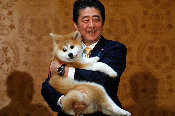 A new zoo opened a conservation center for endangered big cats