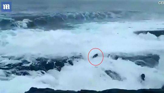 The government announced a $520 million program to improve rural healthcare facilities