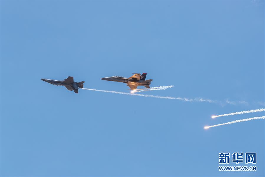 Scientists discovered a new species of bird in a tropical rainforest with bright blue feathers