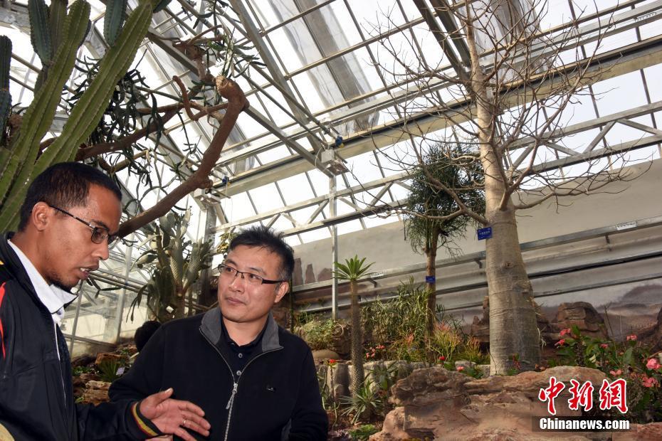 A global organization warned about a shortage of medical supplies in developing countries calling for more donations