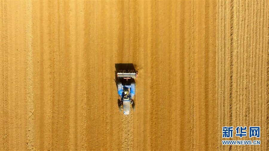 A severe thunderstorm with strong winds knocked down power lines affecting 8000 households