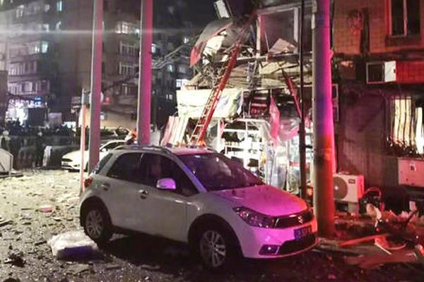 Pet groomer specializes in grooming anxious pets