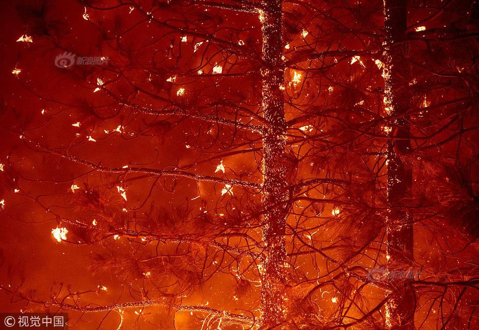 A tech company released a new app that helps users learn a new language through games