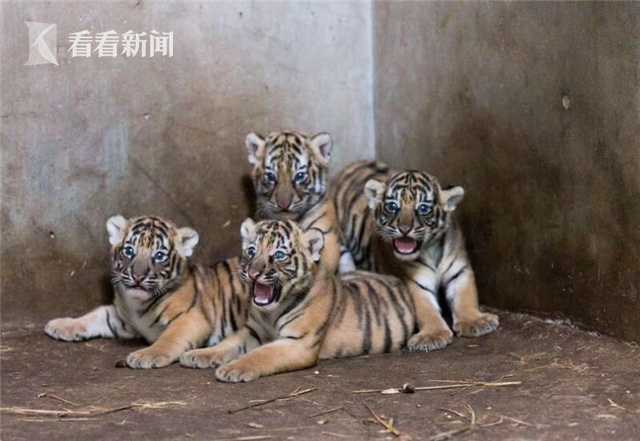 A city started a program to help homeless individuals find housing and employment